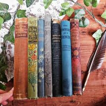 Amazon.co.jp: ゜+ 19世紀 洒落た表紙の古書 グレー 英国